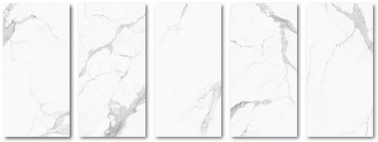 918博天堂(中国区)集团网站