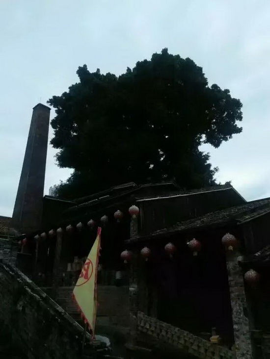 918博天堂(中国区)集团网站