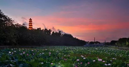 918博天堂(中国区)集团网站