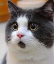 918博天堂(中国区)集团网站