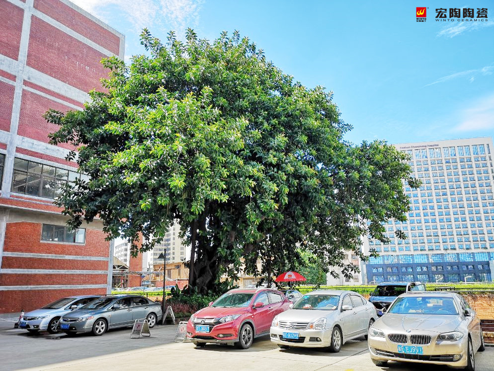 918博天堂(中国区)集团网站