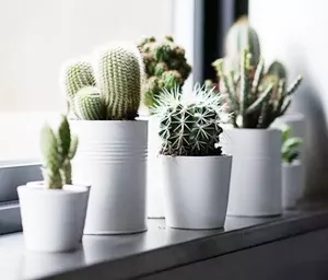 918博天堂(中国区)集团网站