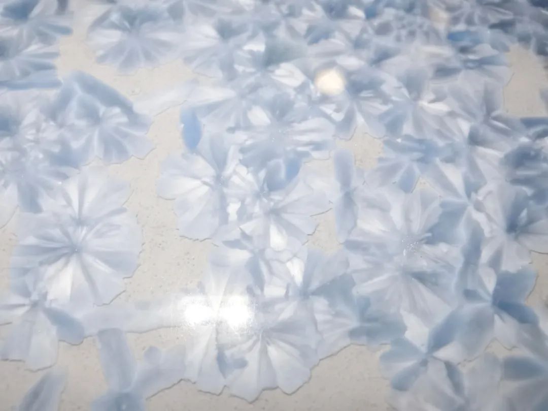 918博天堂(中国区)集团网站