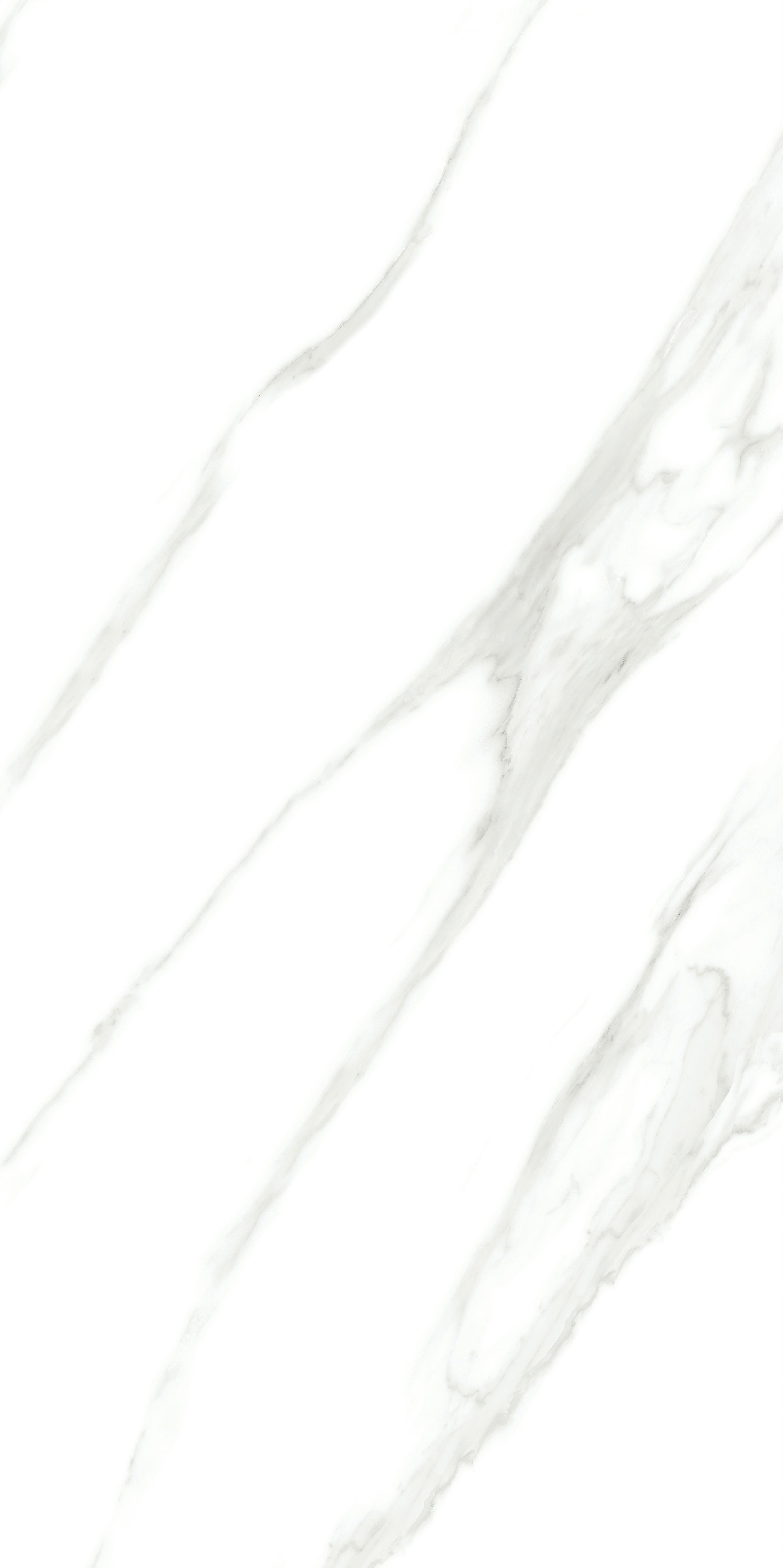 918博天堂(中国区)集团网站