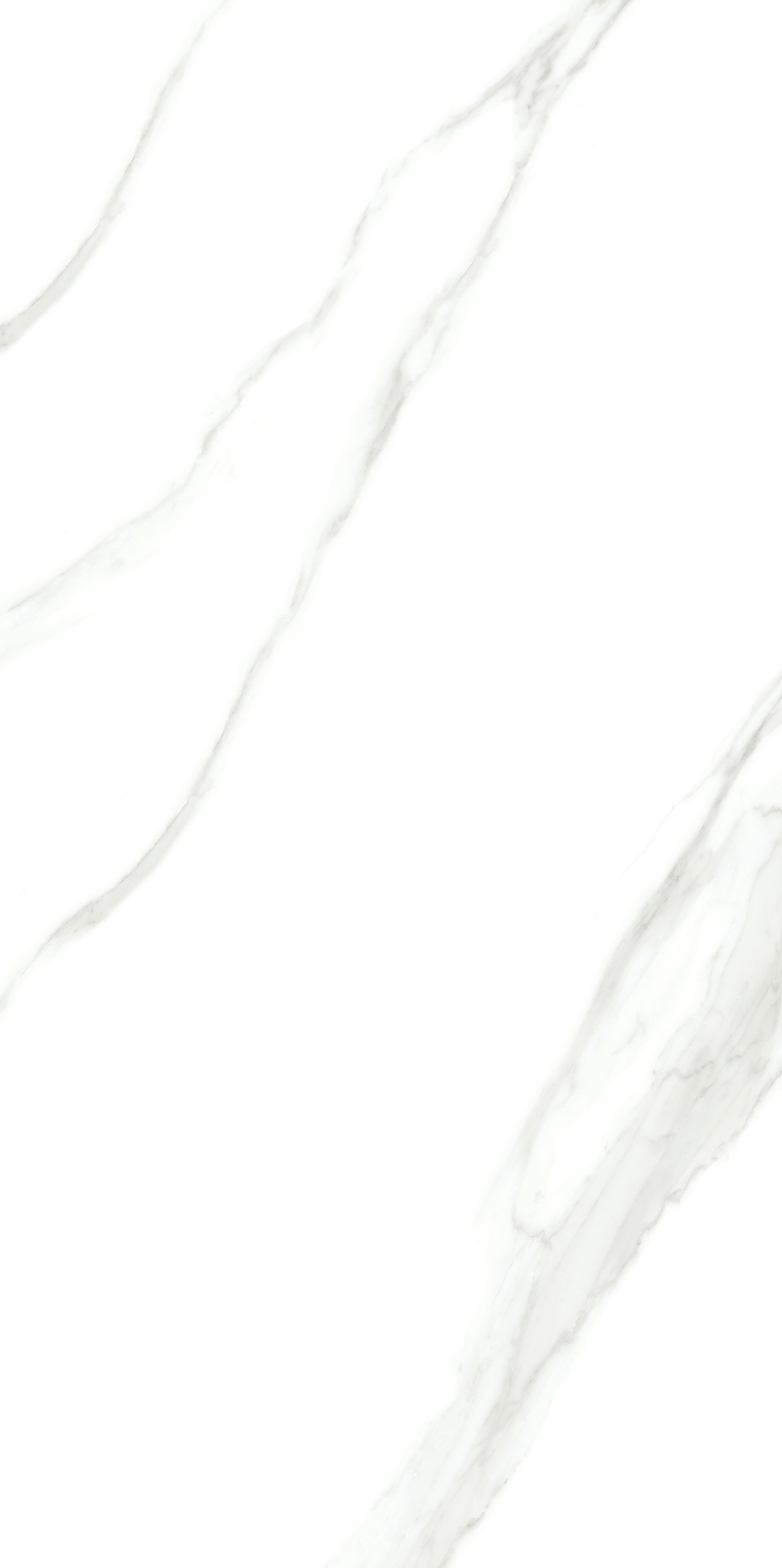 918博天堂(中国区)集团网站