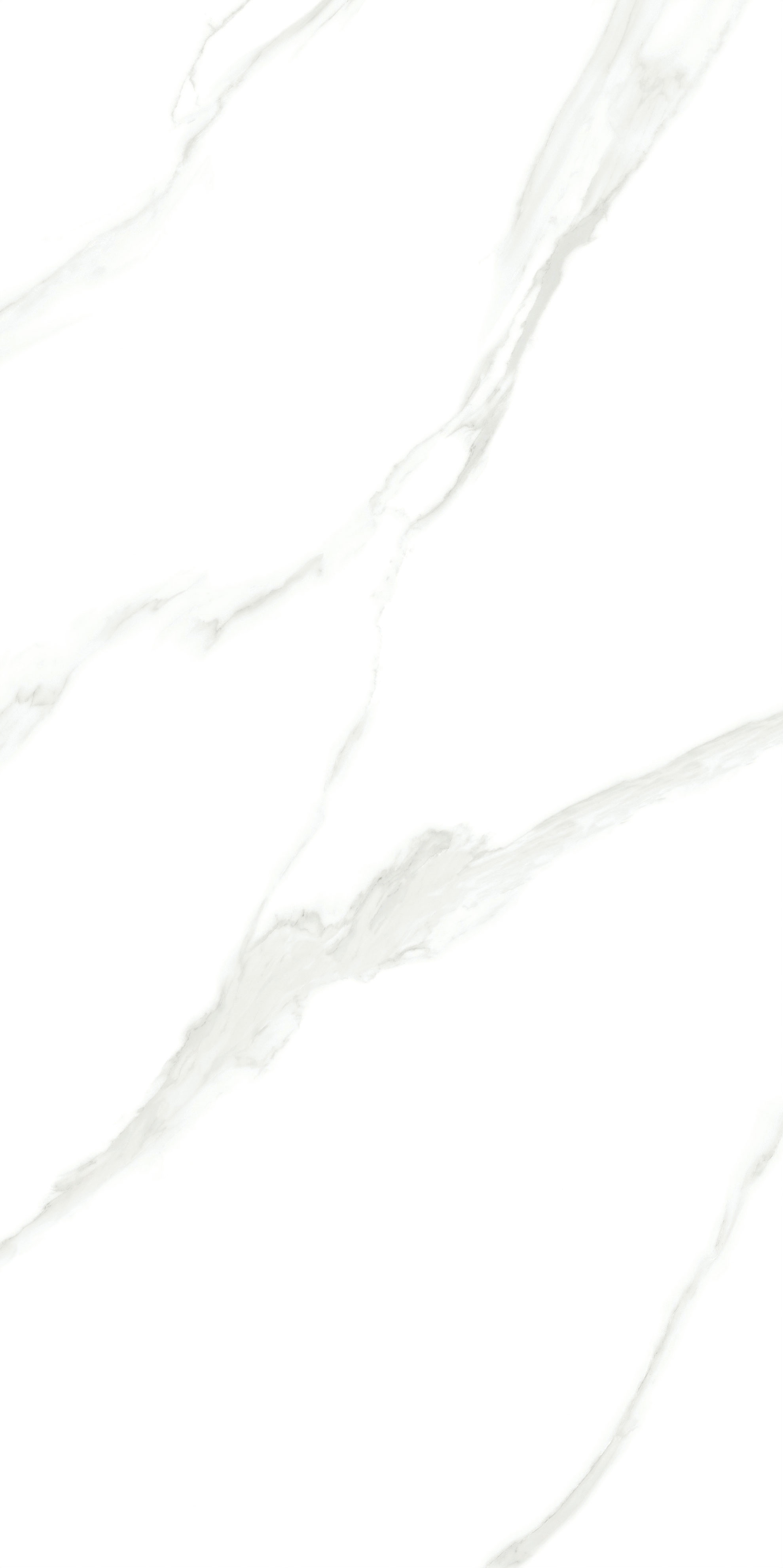 918博天堂(中国区)集团网站