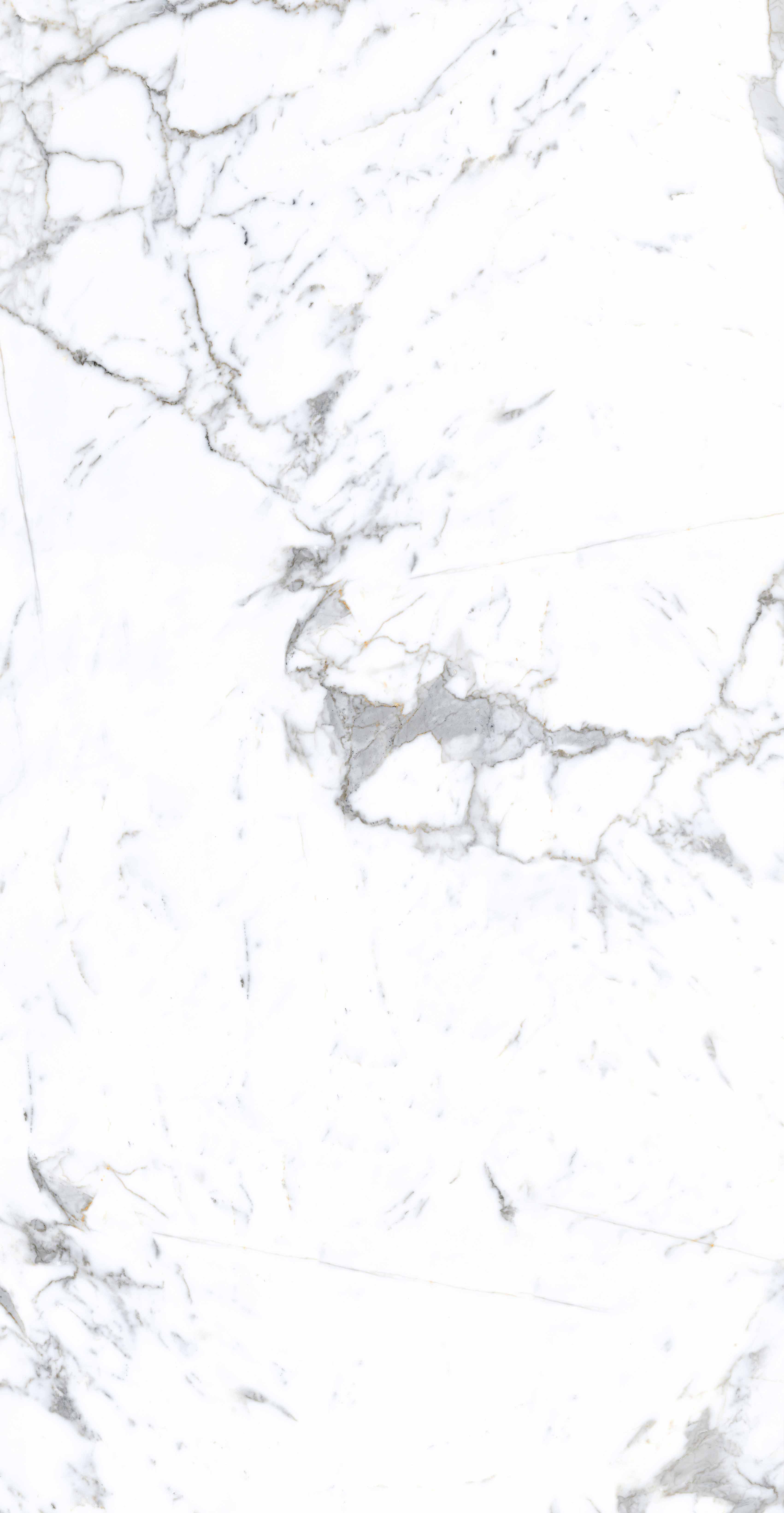 918博天堂(中国区)集团网站