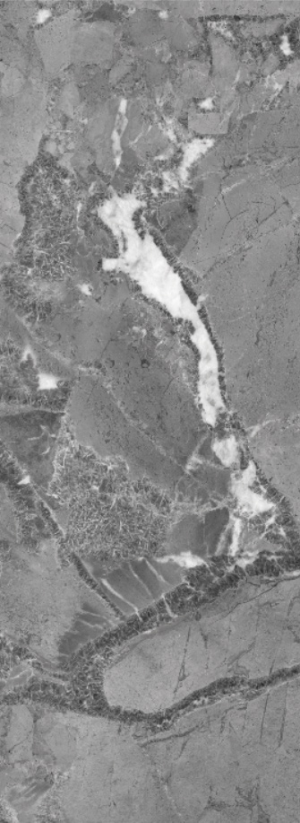 918博天堂(中国区)集团网站