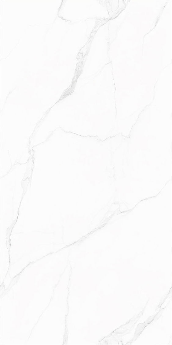 918博天堂(中国区)集团网站