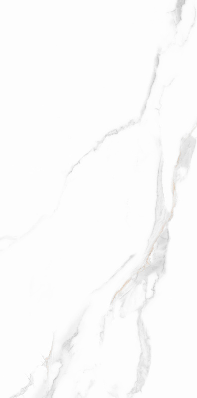 918博天堂(中国区)集团网站