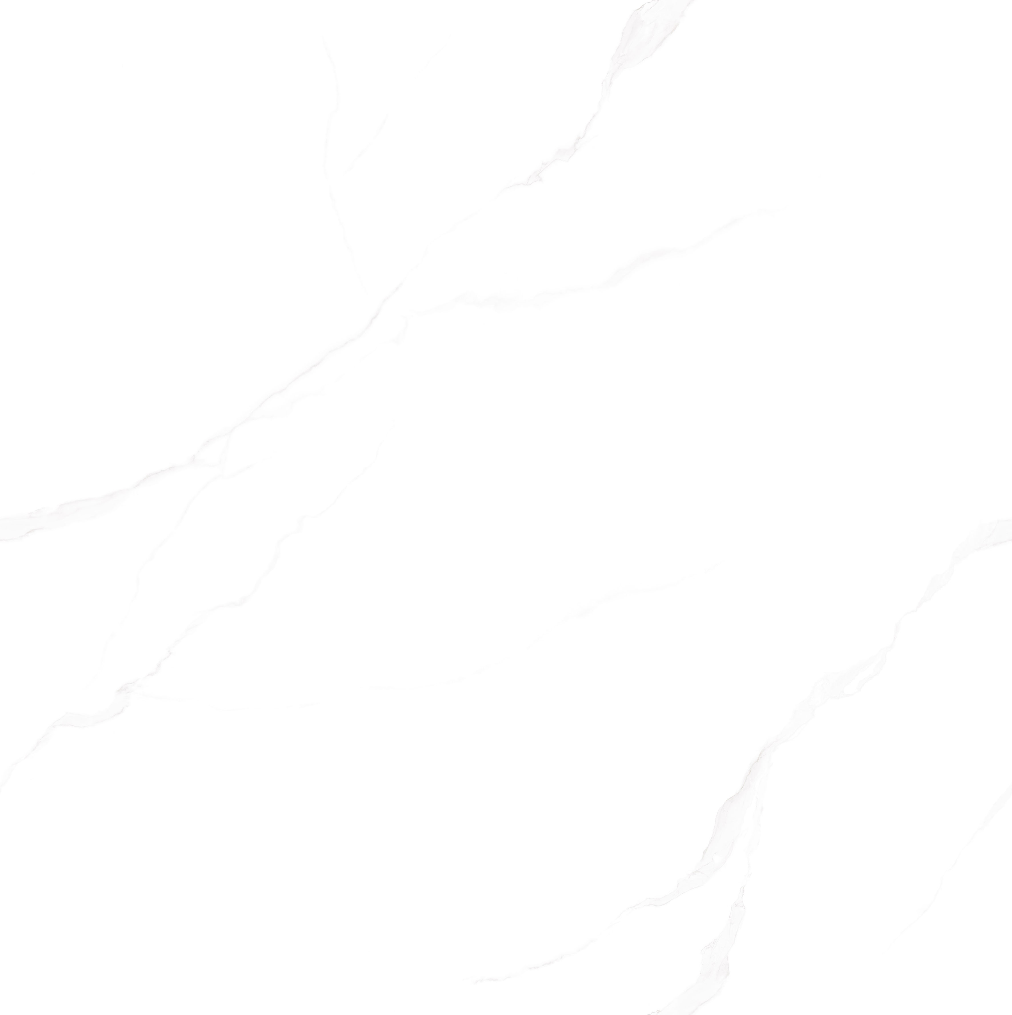 918博天堂(中国区)集团网站