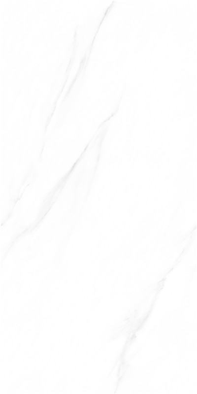 918博天堂(中国区)集团网站