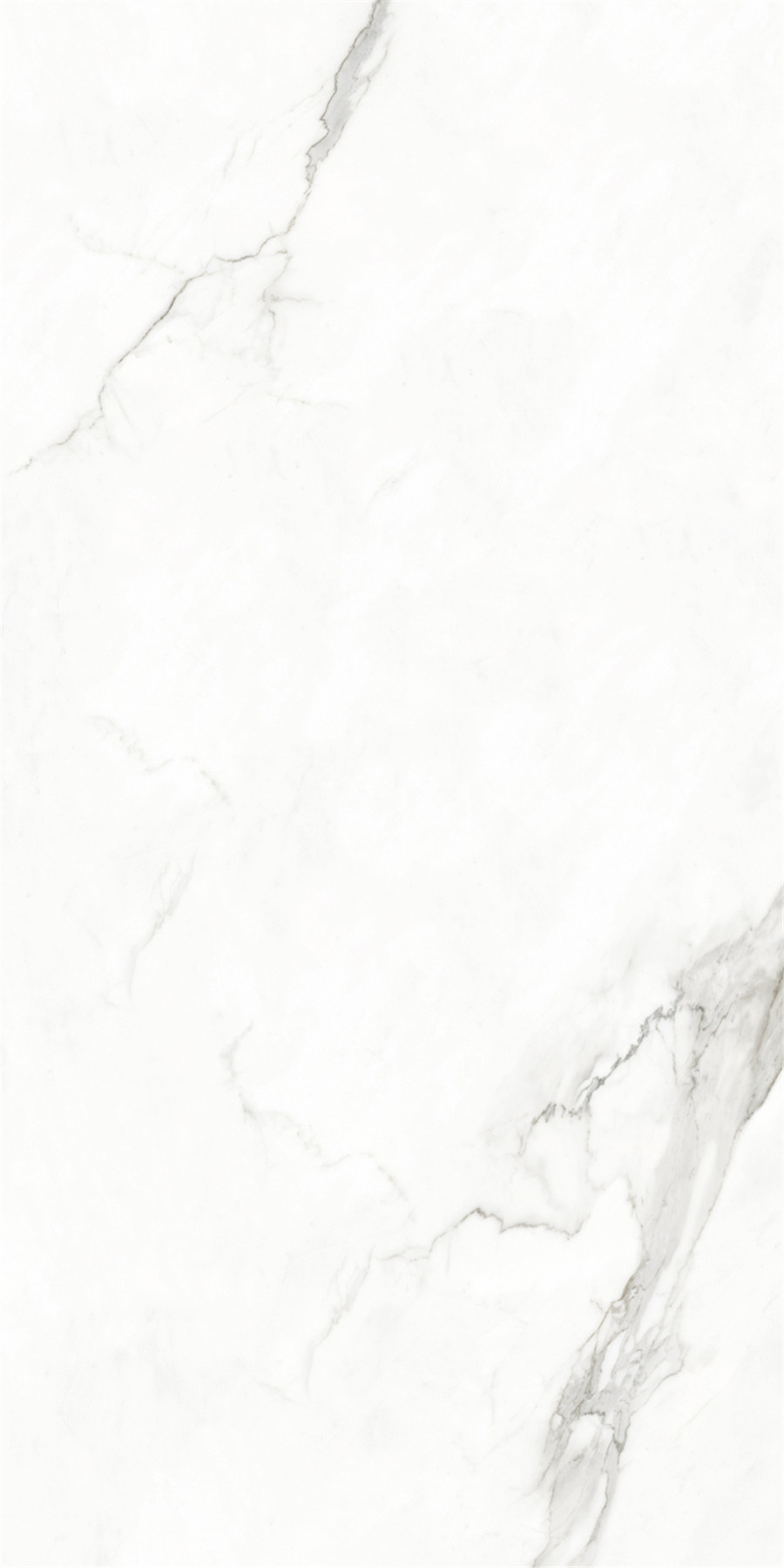 918博天堂(中国区)集团网站