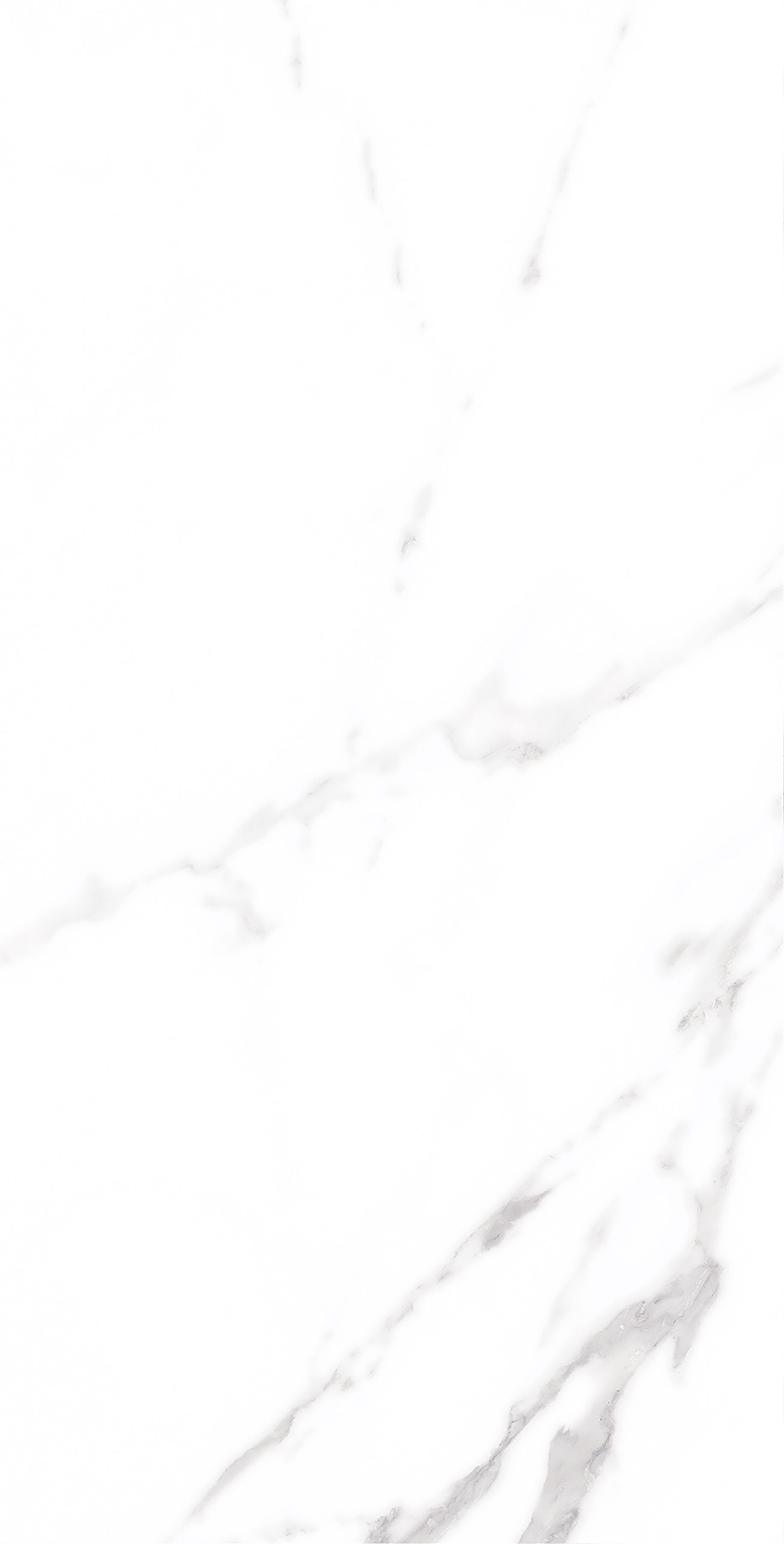 918博天堂(中国区)集团网站