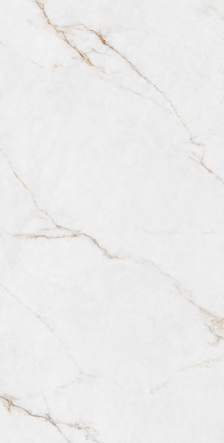 918博天堂(中国区)集团网站