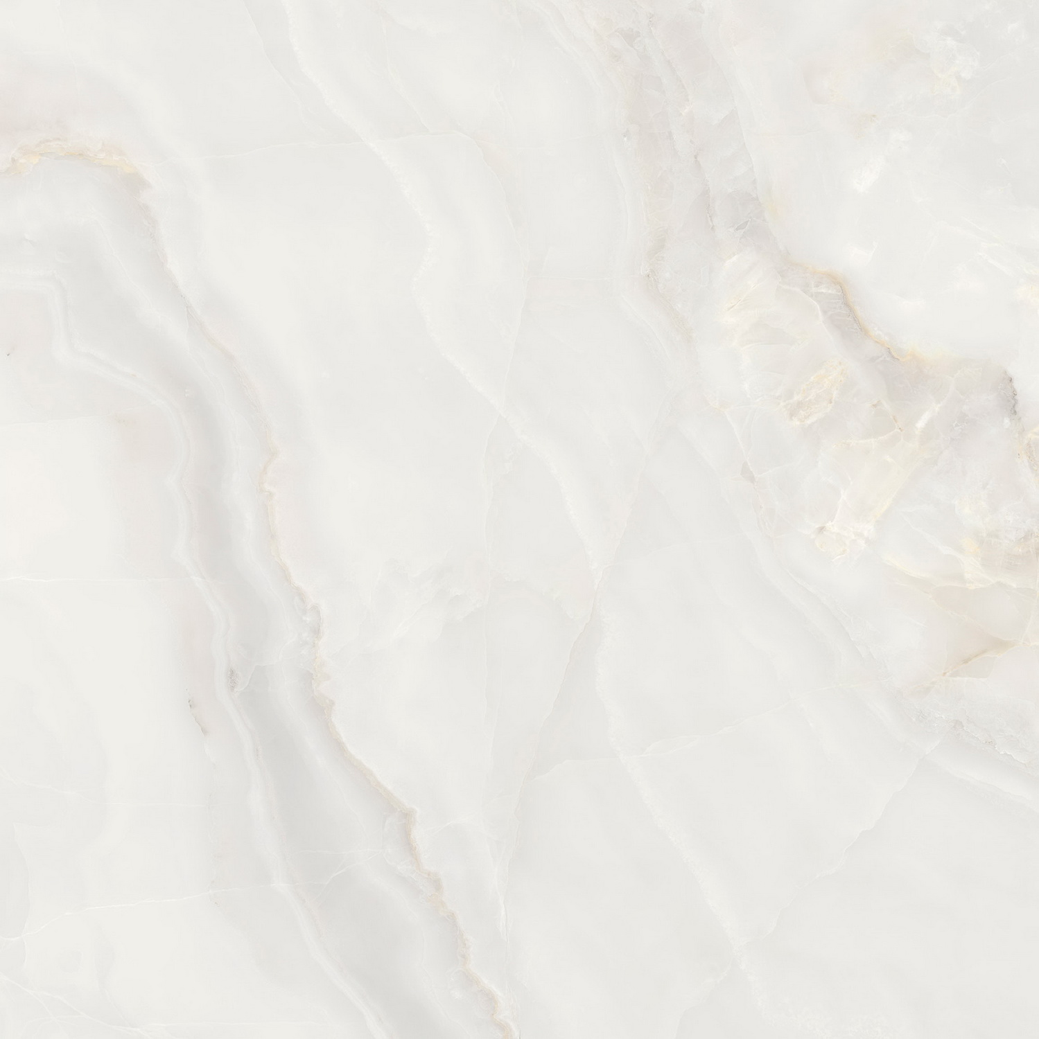 918博天堂(中国区)集团网站