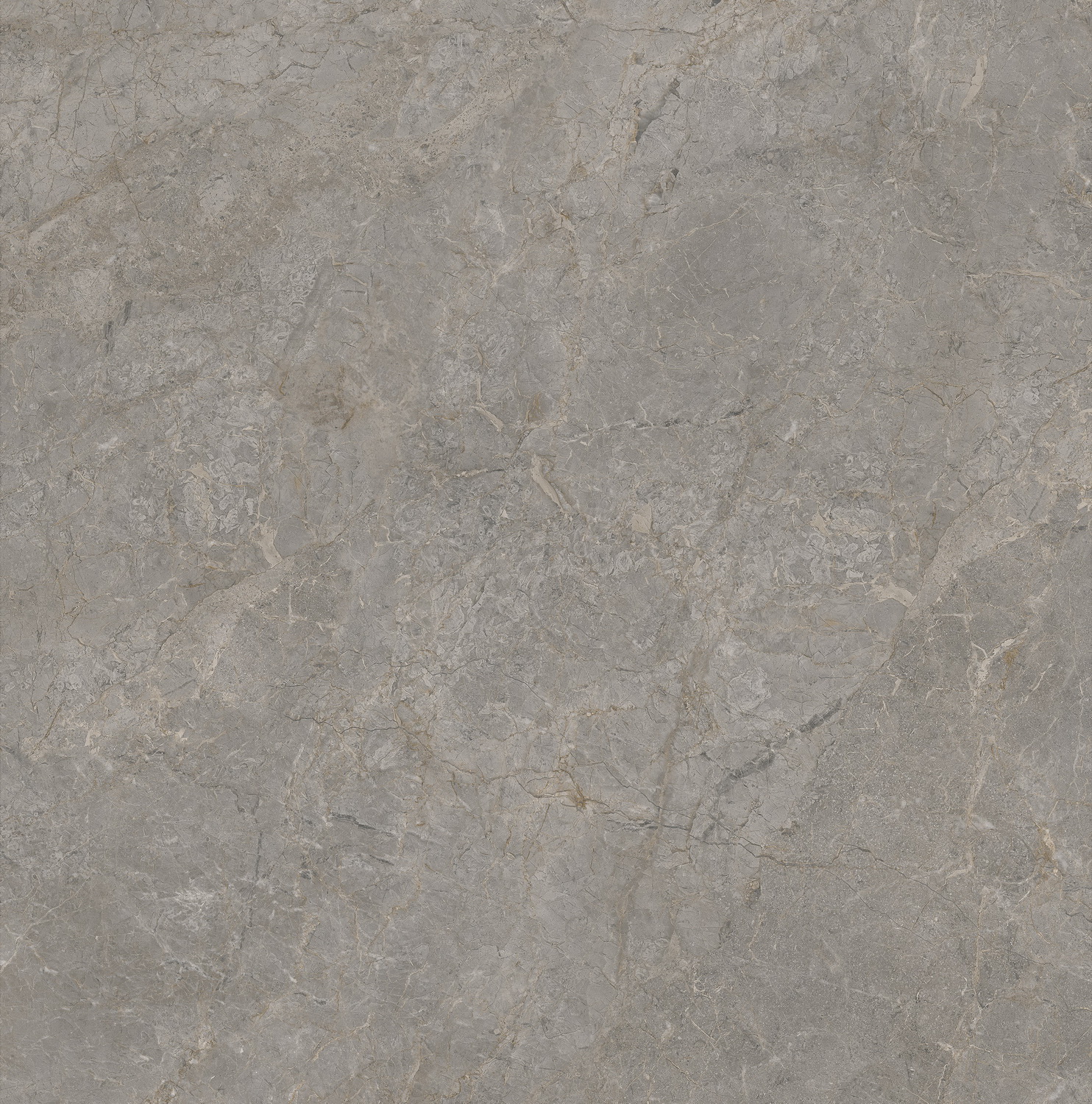 918博天堂(中国区)集团网站