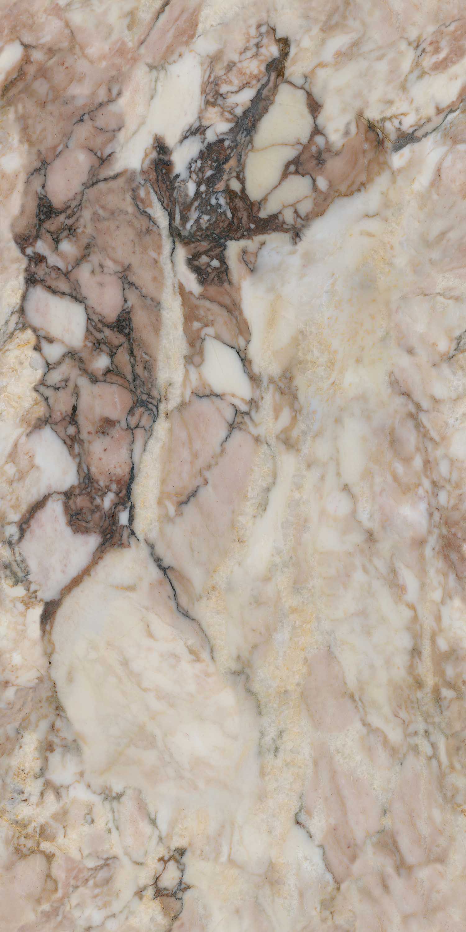 918博天堂(中国区)集团网站