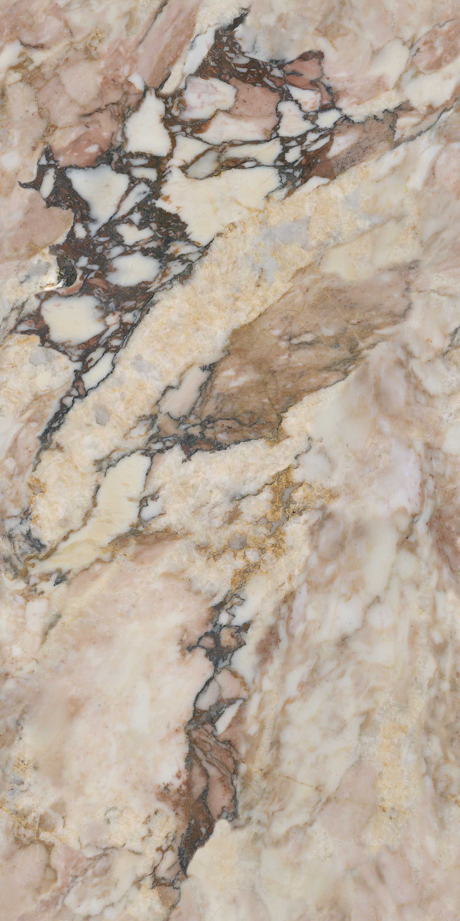 918博天堂(中国区)集团网站