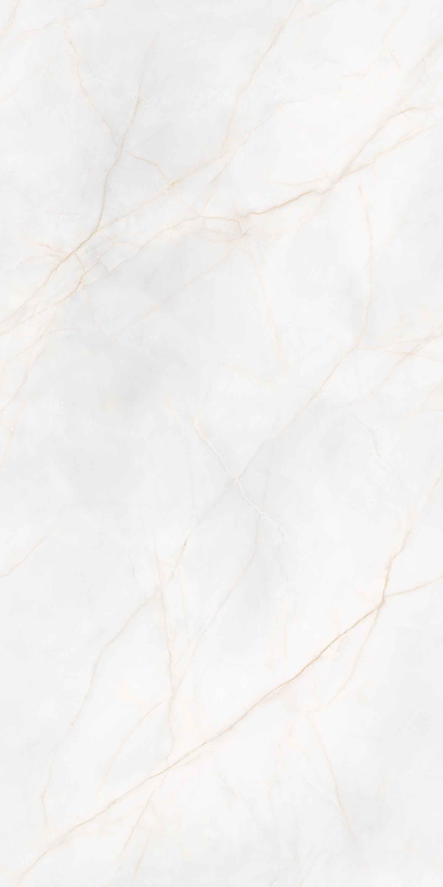 918博天堂(中国区)集团网站