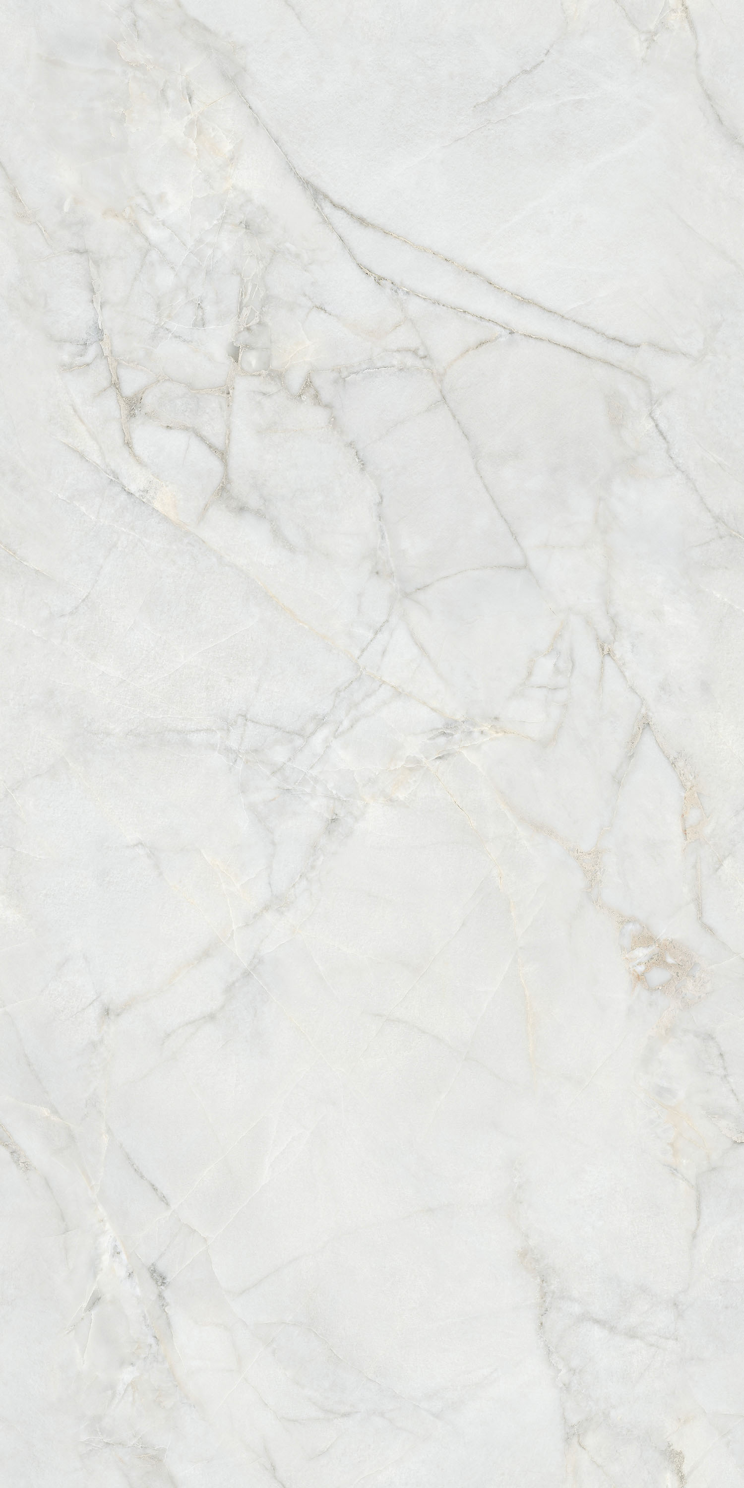 918博天堂(中国区)集团网站