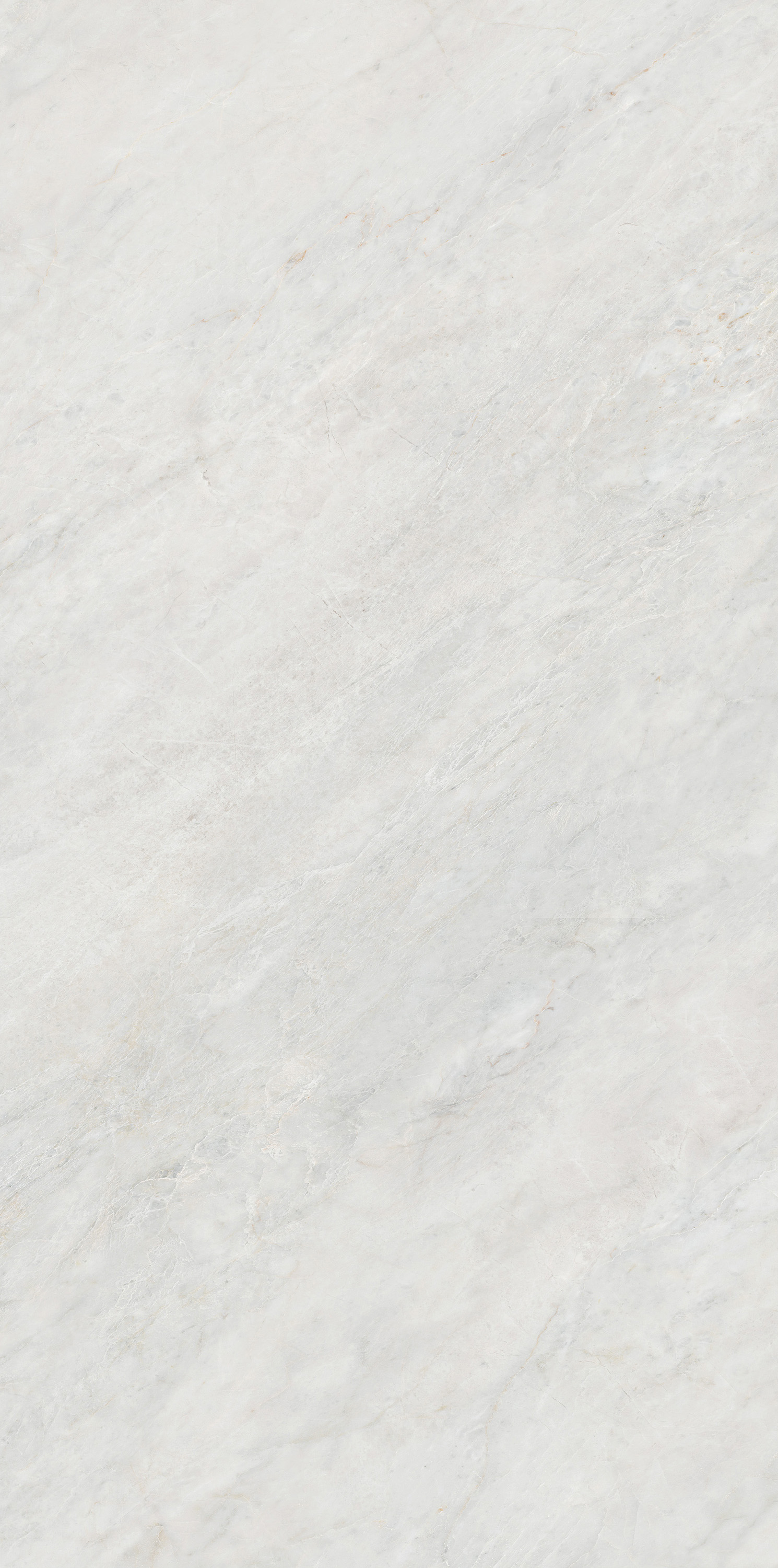 918博天堂(中国区)集团网站