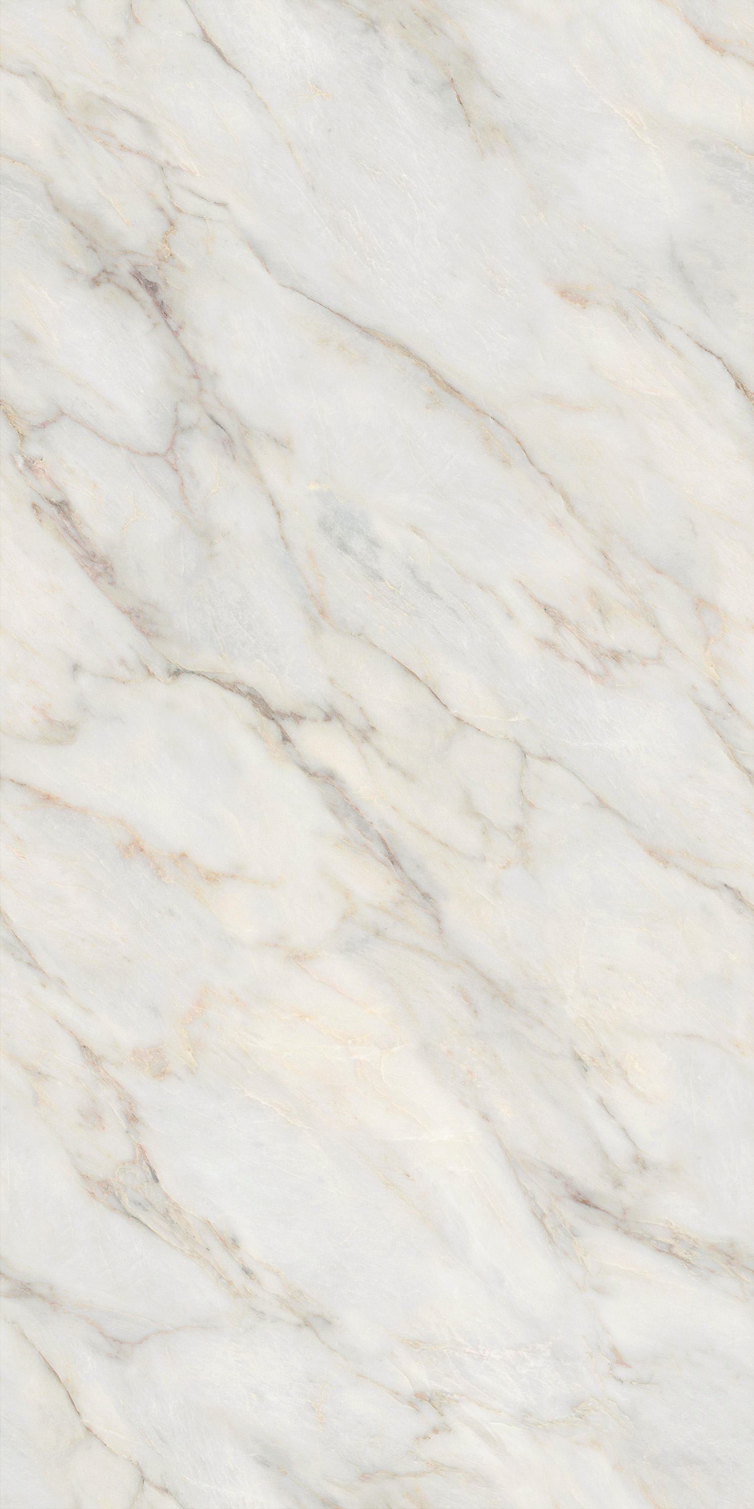 918博天堂(中国区)集团网站